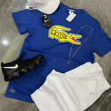 Kit Lacoste + VaporMax