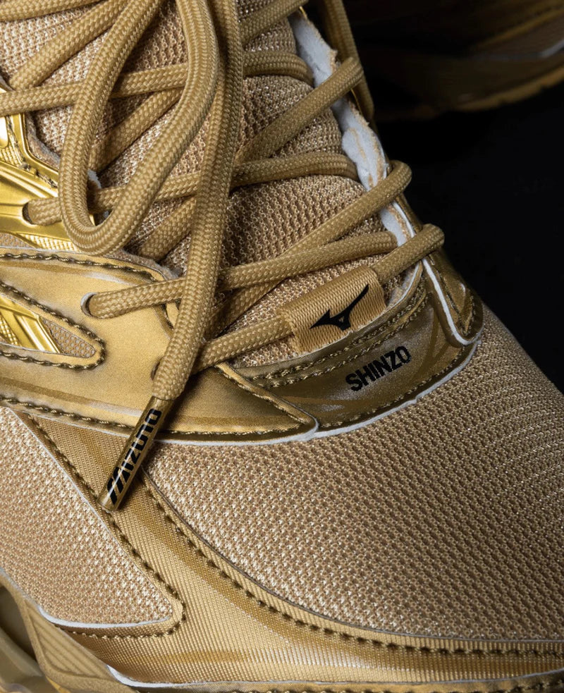 Tênis Mizuno Wave Prophecy LS