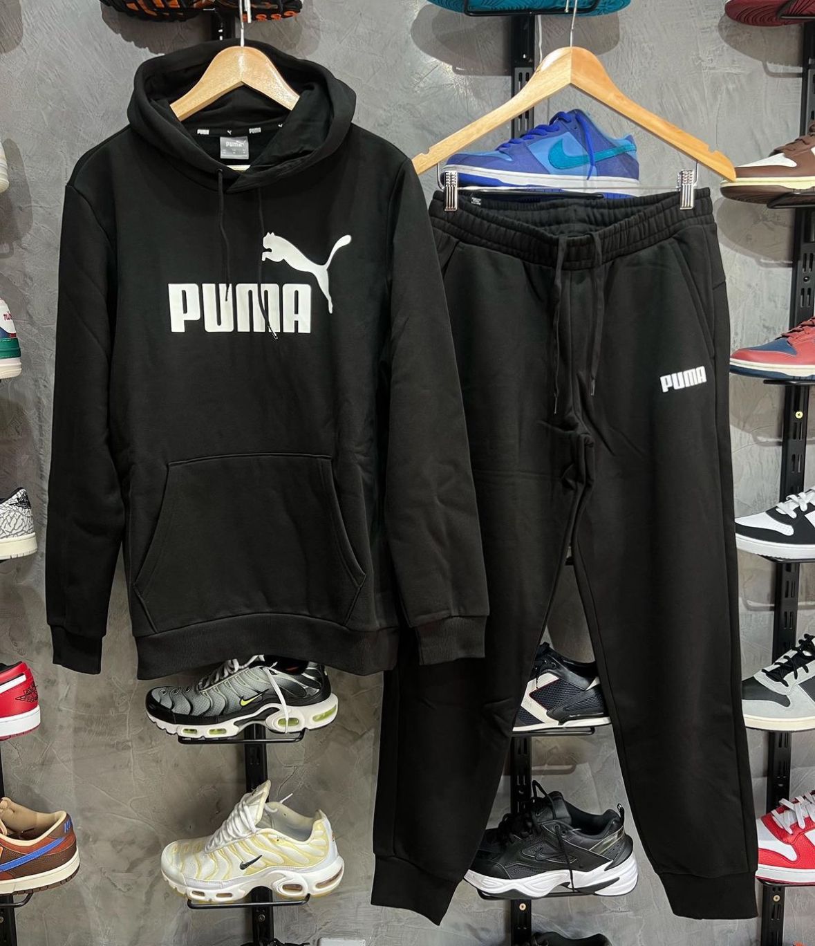 Conjunto Puma